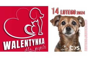 Walentynki 2024