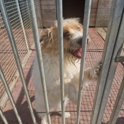 KUBA
