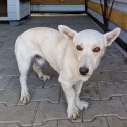 DORO
