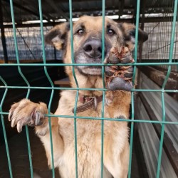 SUNIA GM KRZYŻANÓW