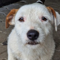 BILI